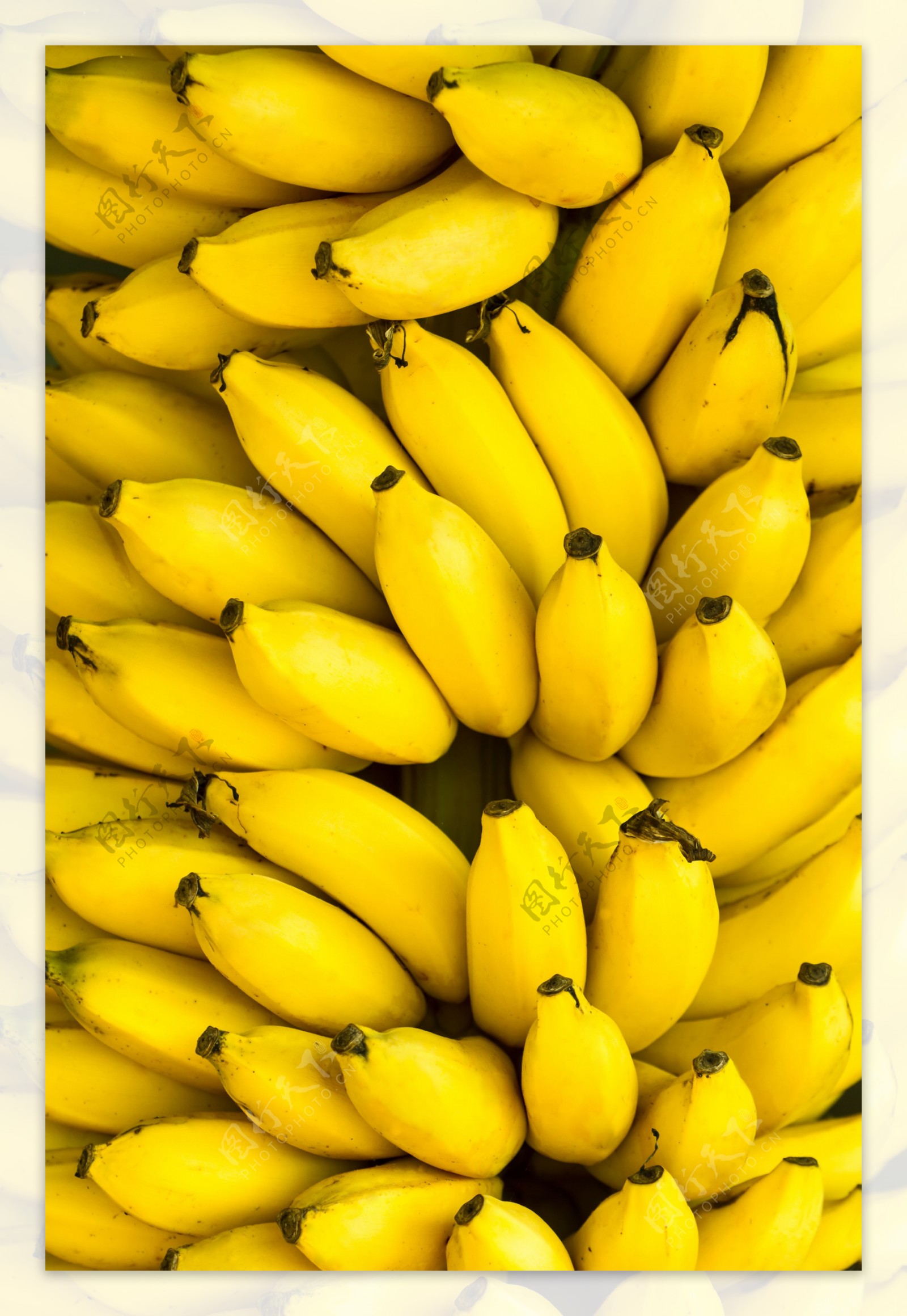 香蕉特写摄影图片