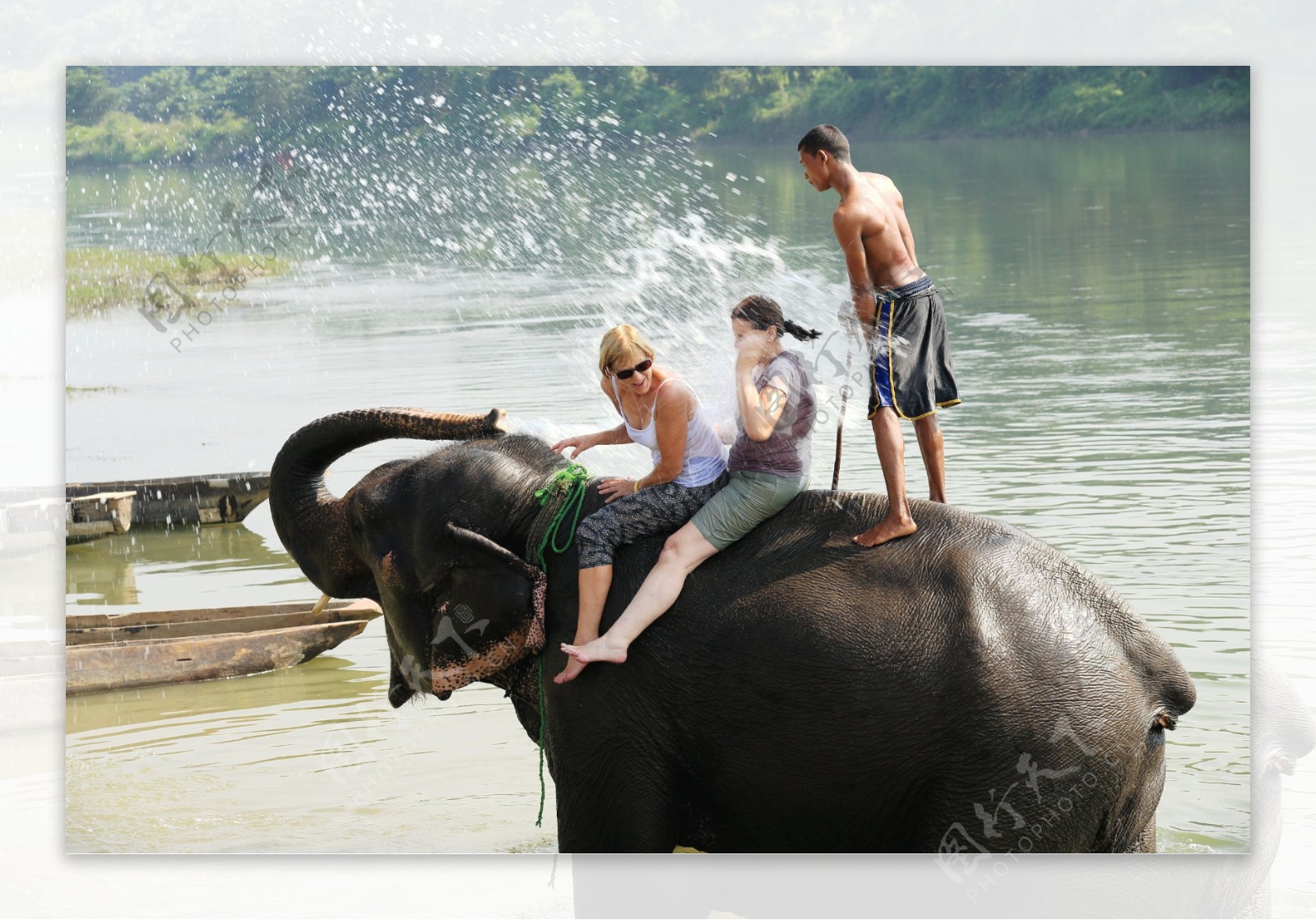 骑大象的游客图片