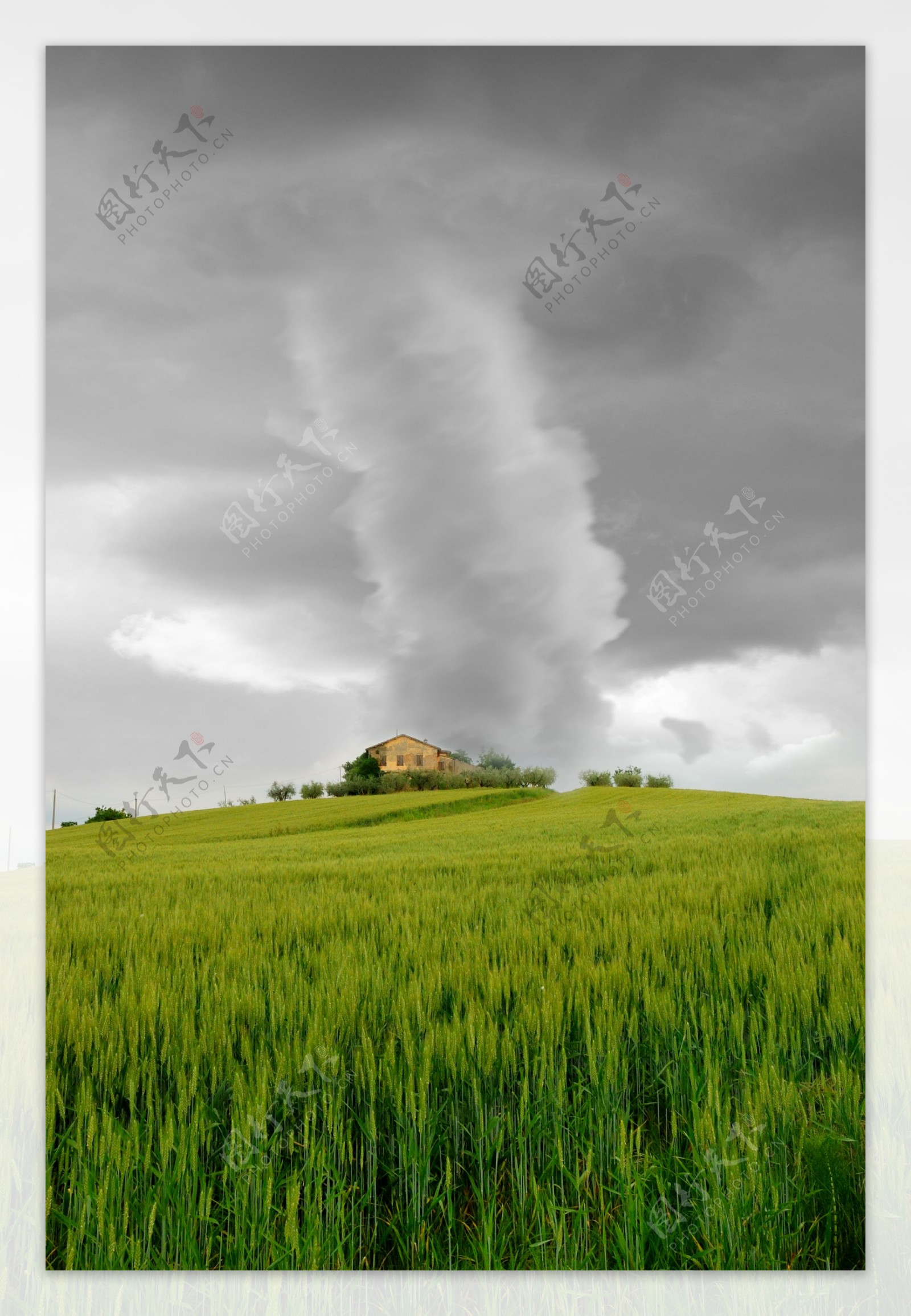 麦田上的龙卷风图片