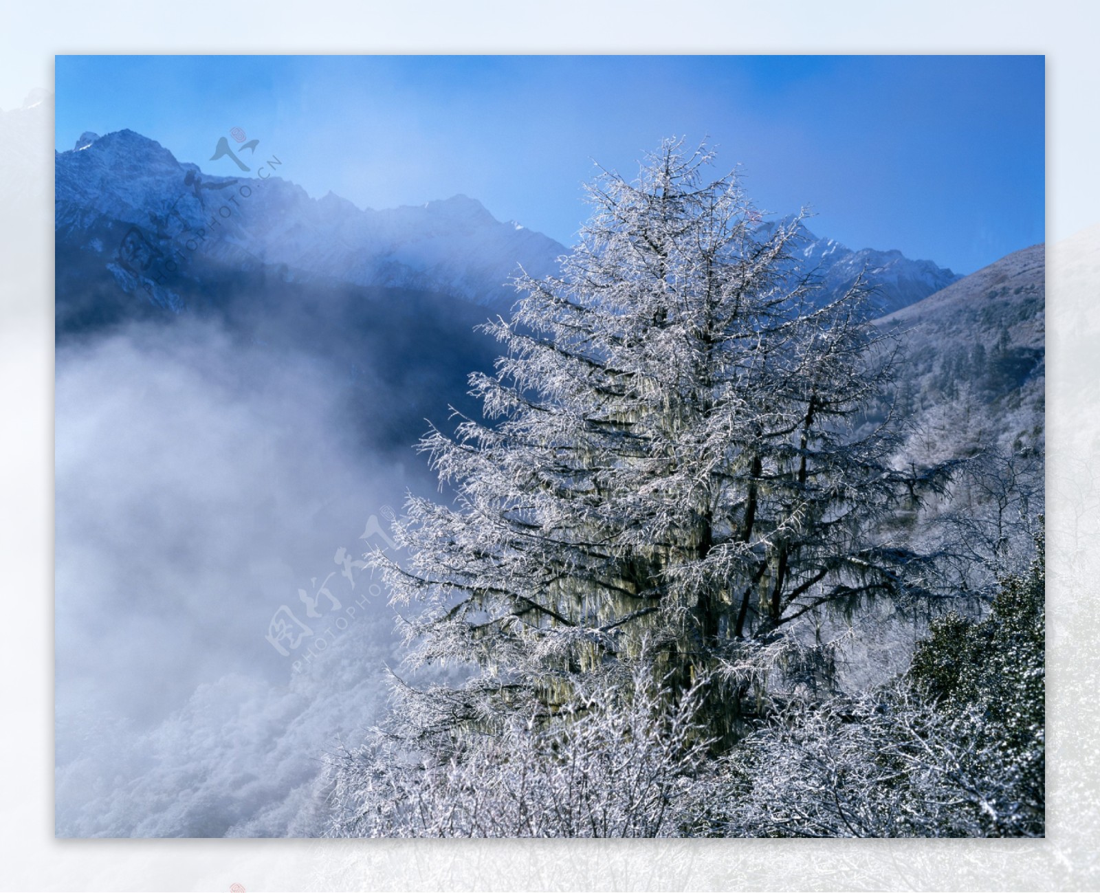 冬天雪景摄影图片