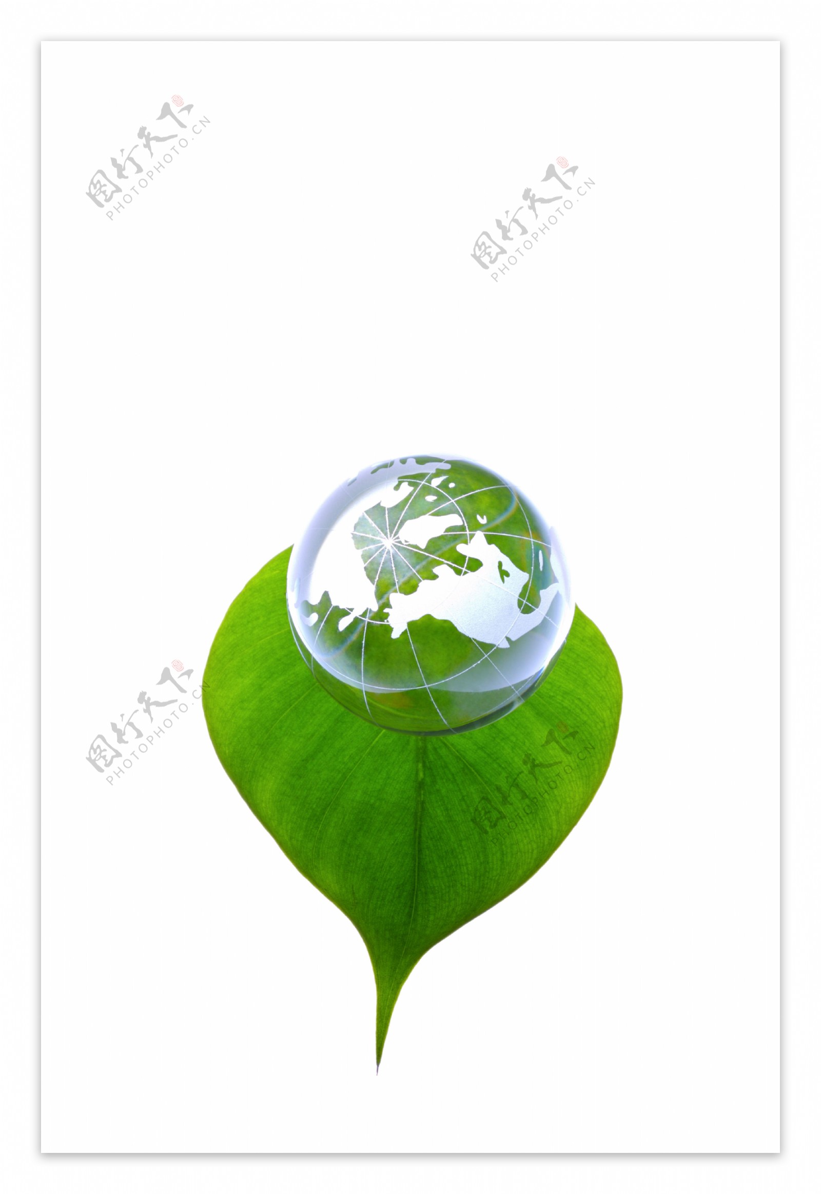 绿叶与科技地球环保图片图片