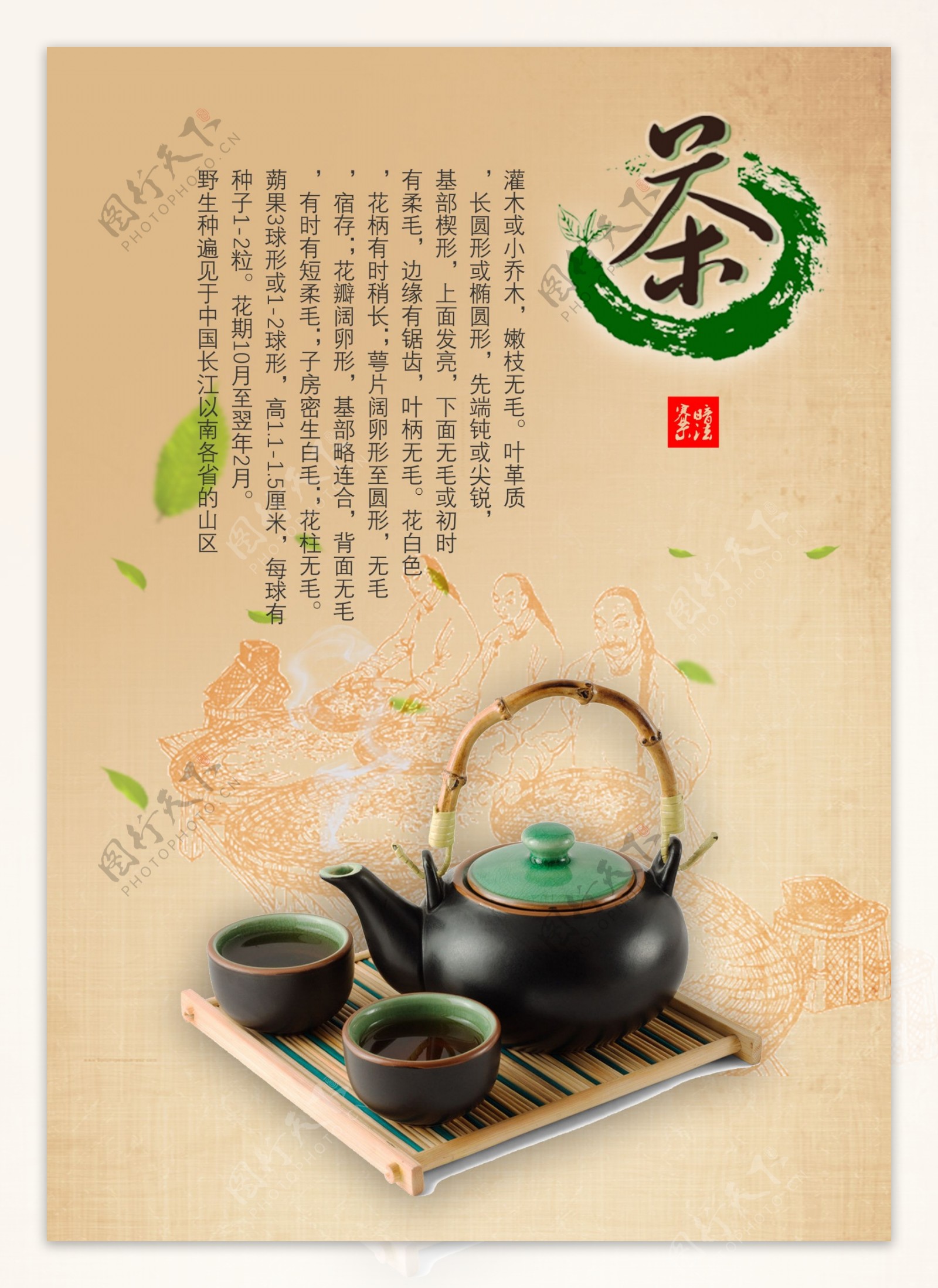茶叶文化海报