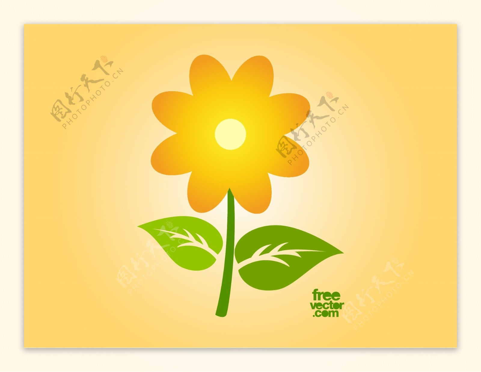 矢量太阳花花朵图案