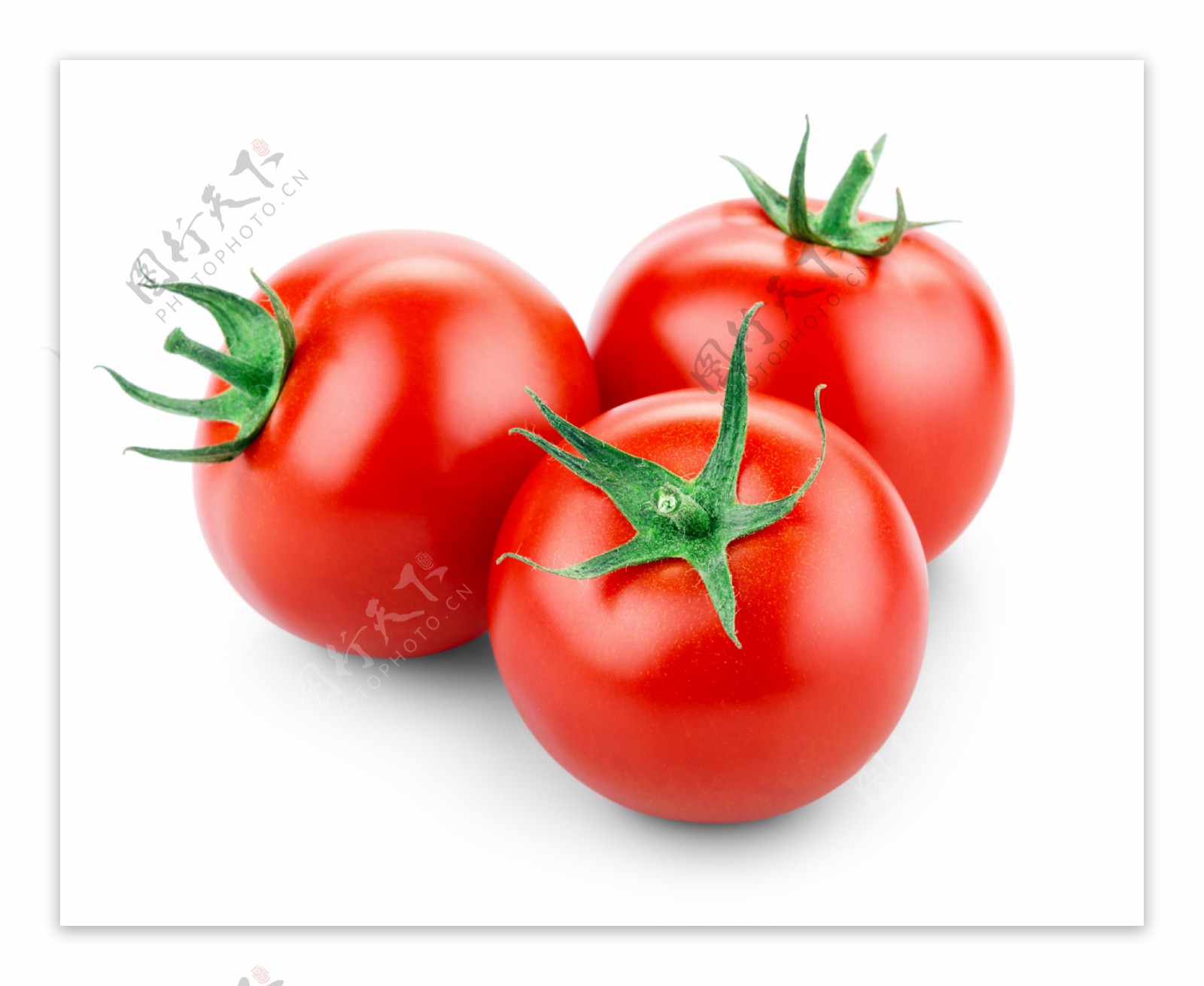 西红柿高清摄影图片