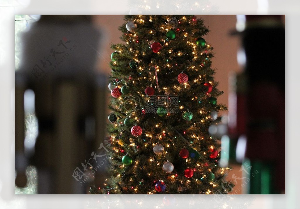 节日圣诞节胡桃夹子圣诞节树