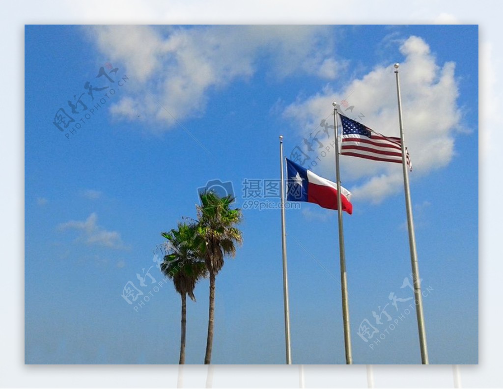 天空云蓝色标志树木团结国家的美国旗德州美州得克萨斯州标志
