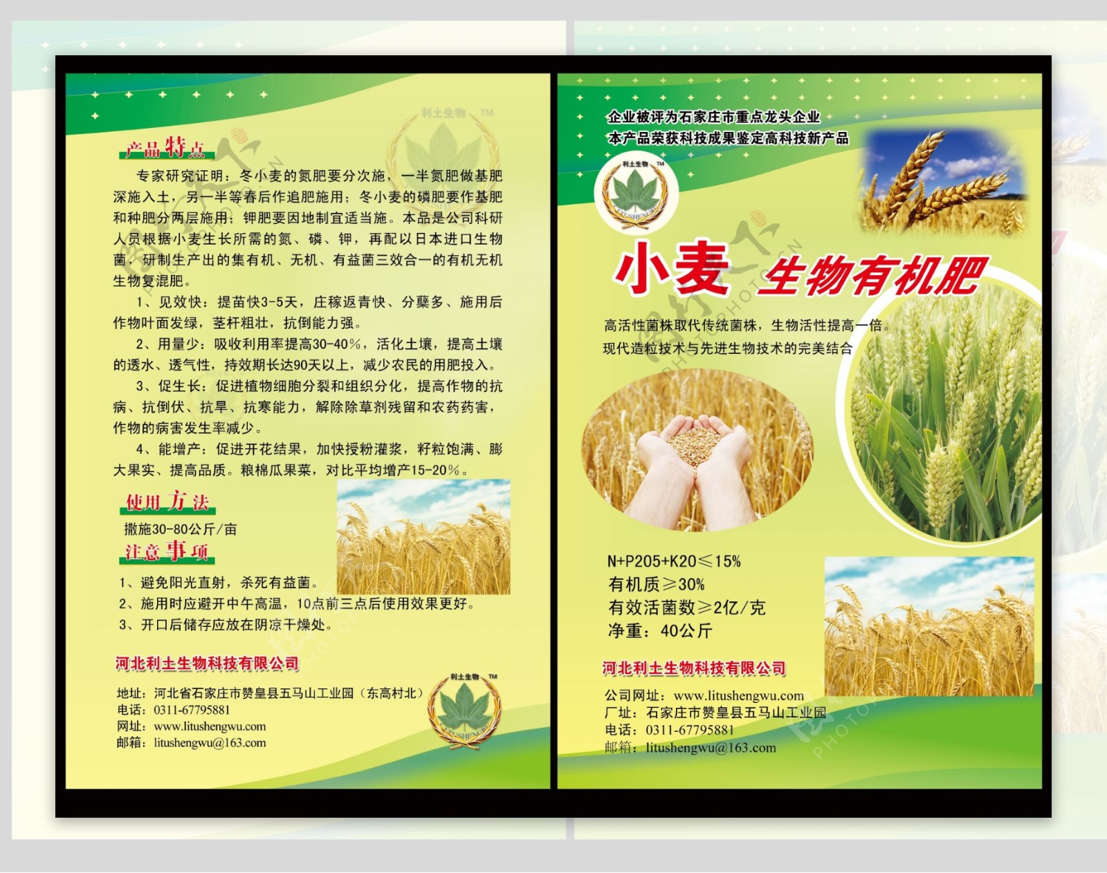 小麦宣传单图片