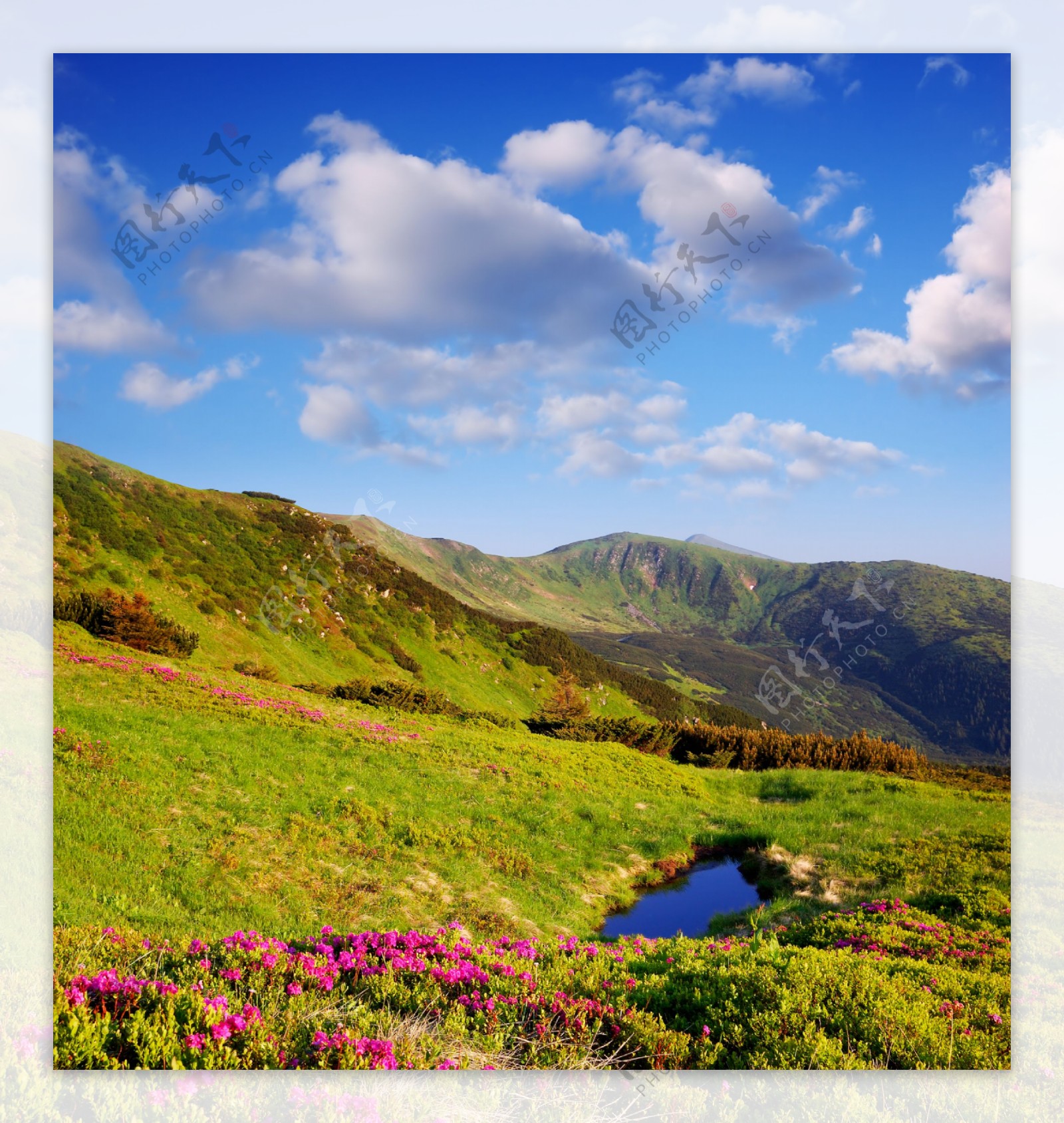 美丽山峰草地风景图片