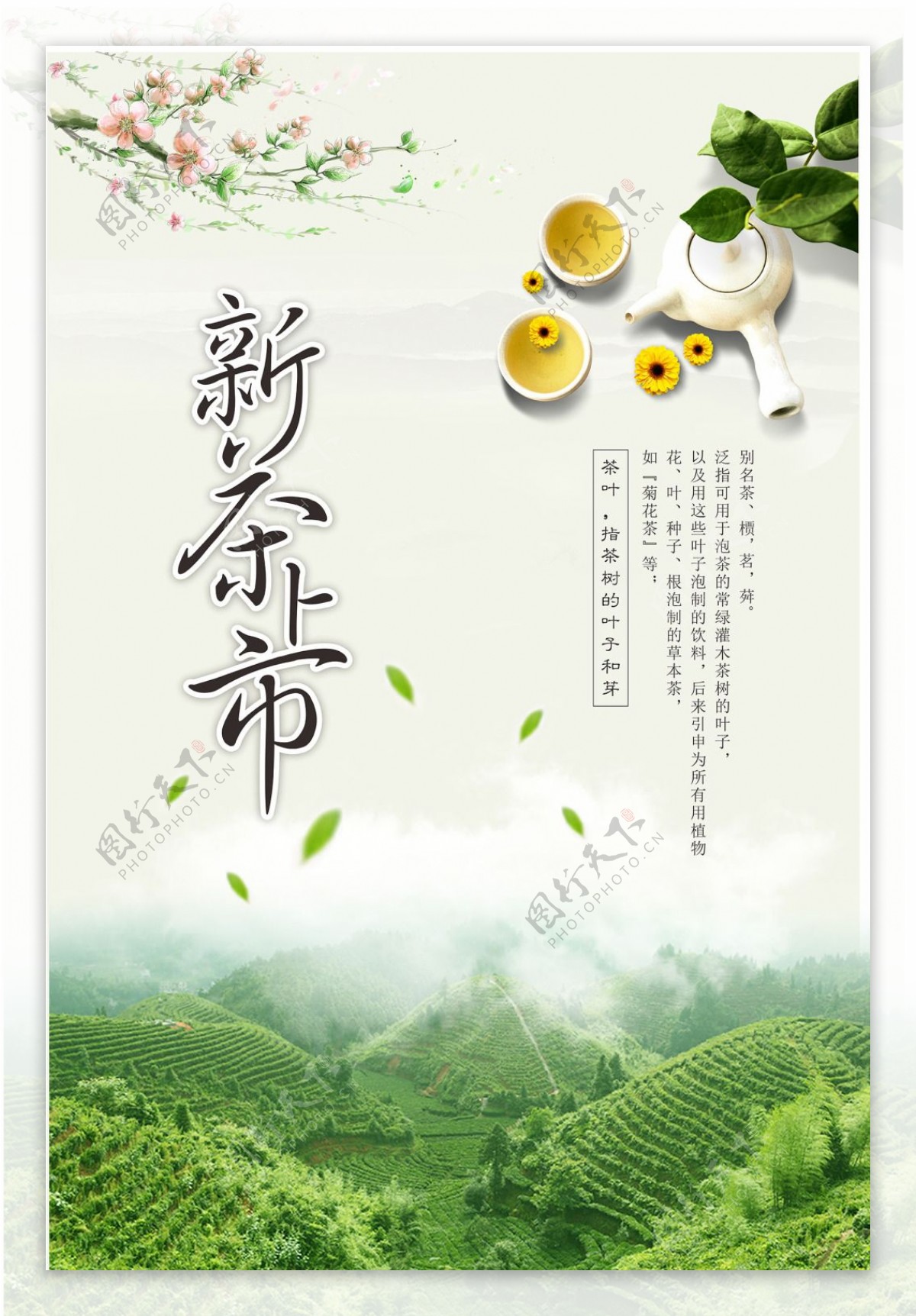 茶叶新品上市海报