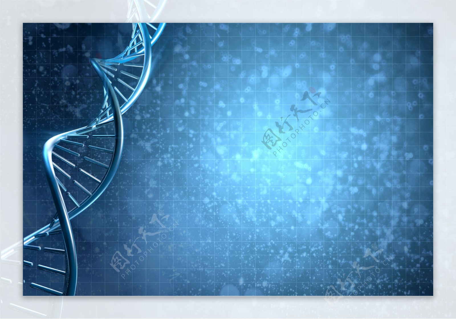 双螺旋dna链图片素材-编号24995121-图行天下