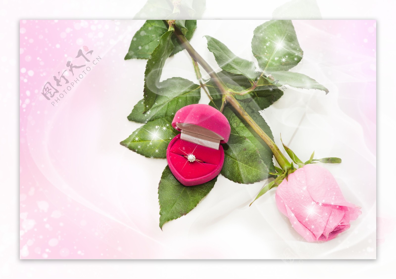 粉色心形盒子戒指和玫瑰图片