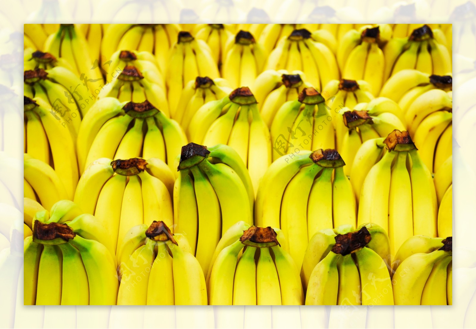 成堆的香蕉图片