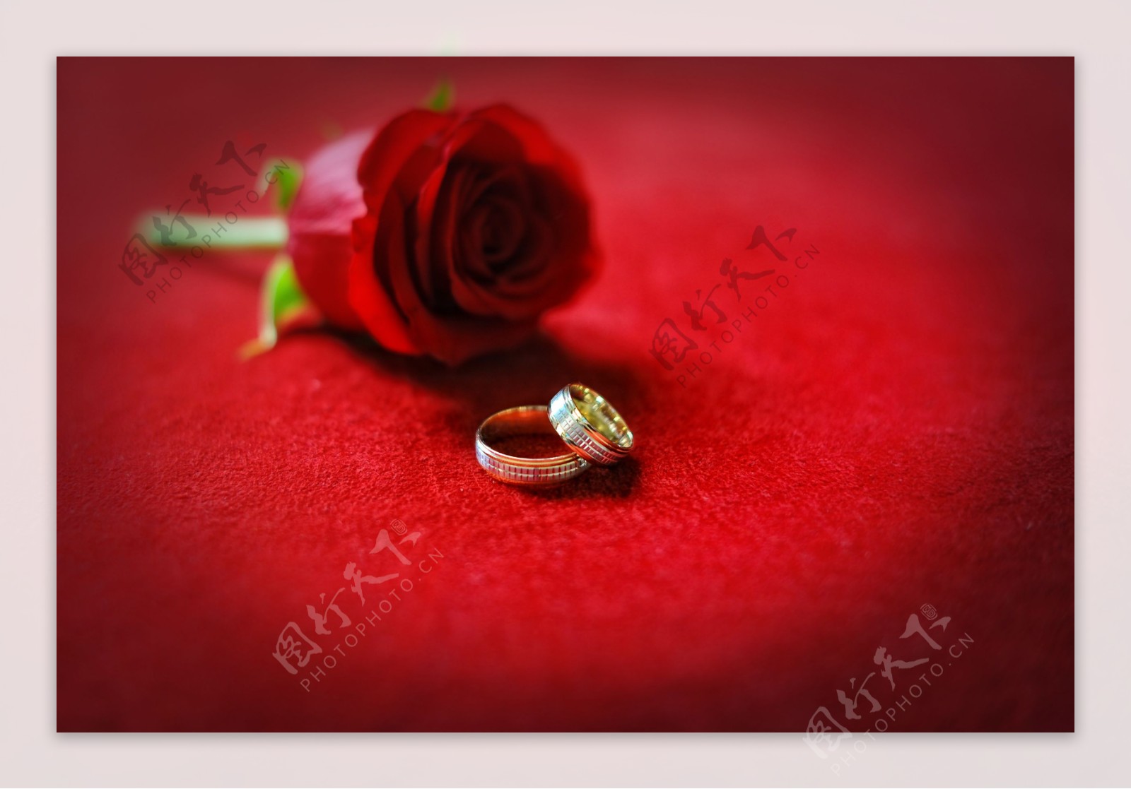 玫瑰花与戒指