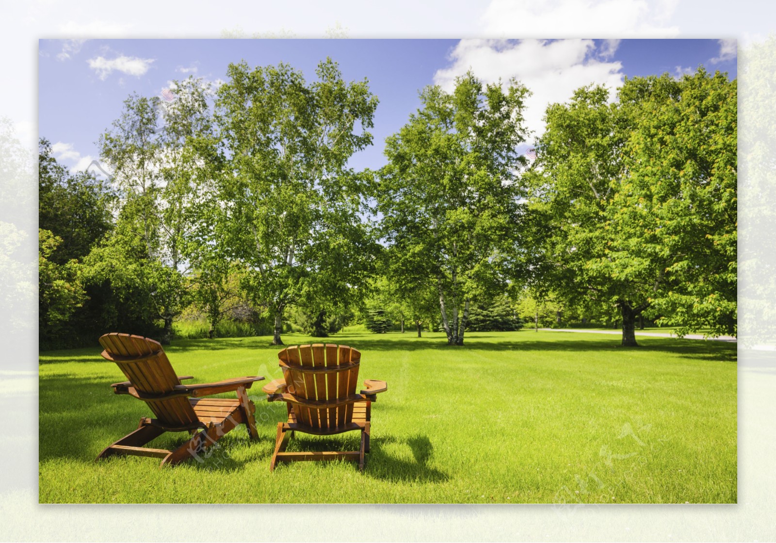 草地上的树木和休闲椅图片