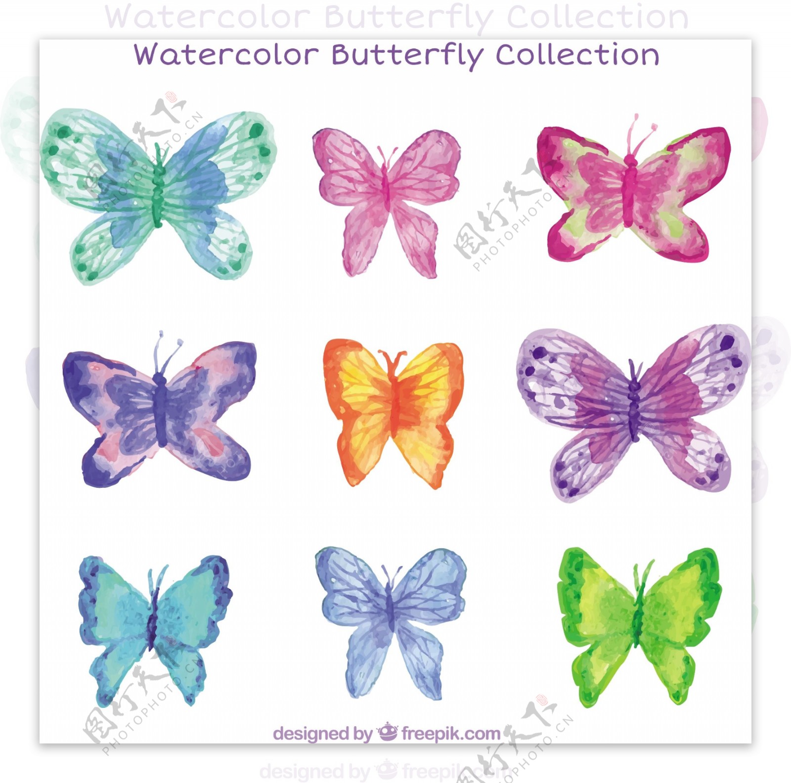 水彩画美丽的蝴蝶