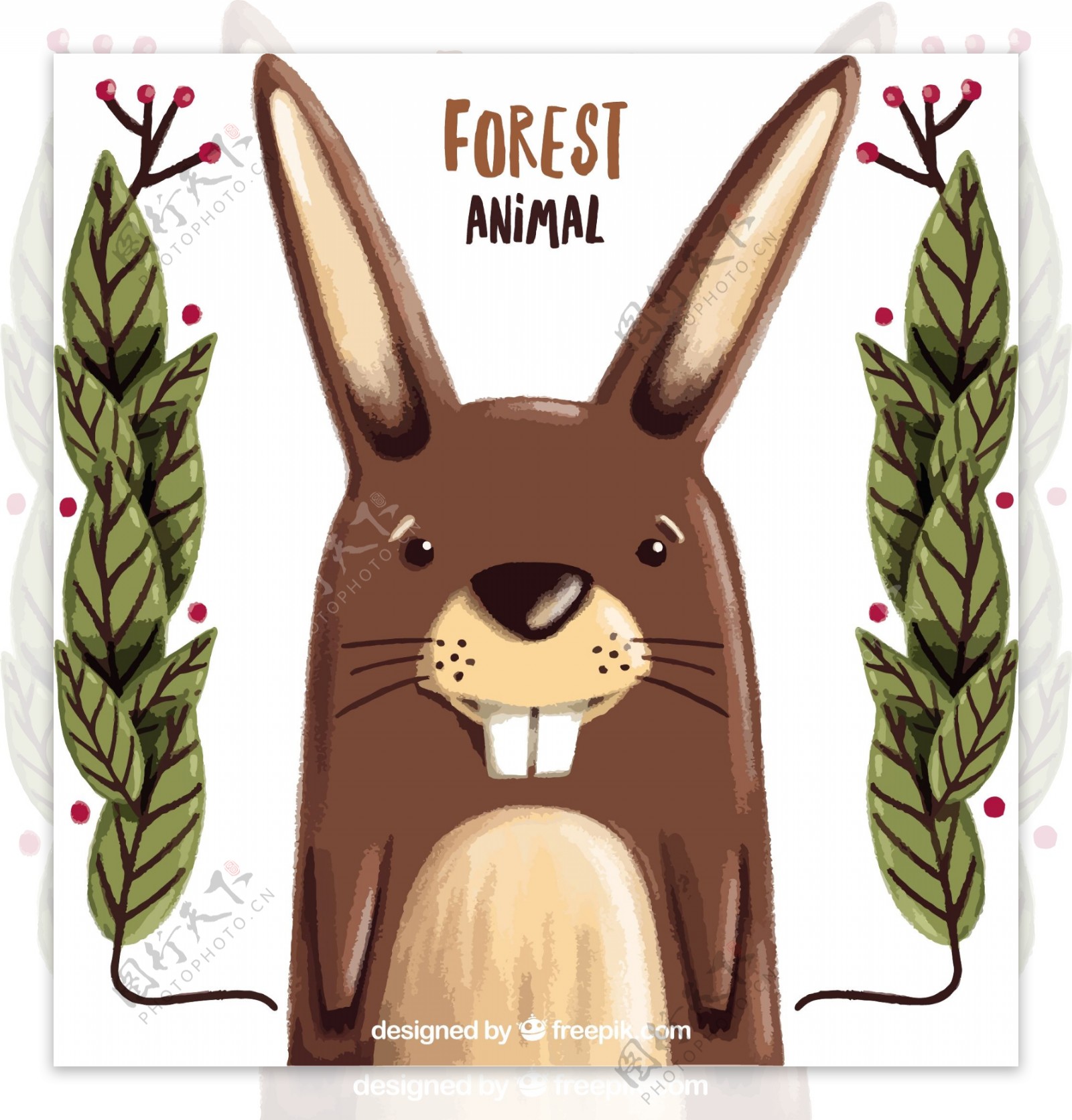 手画可爱的兔子与树叶装饰