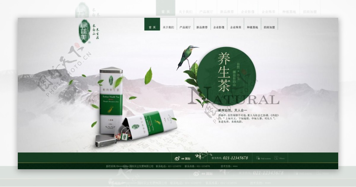养生茶网页设计