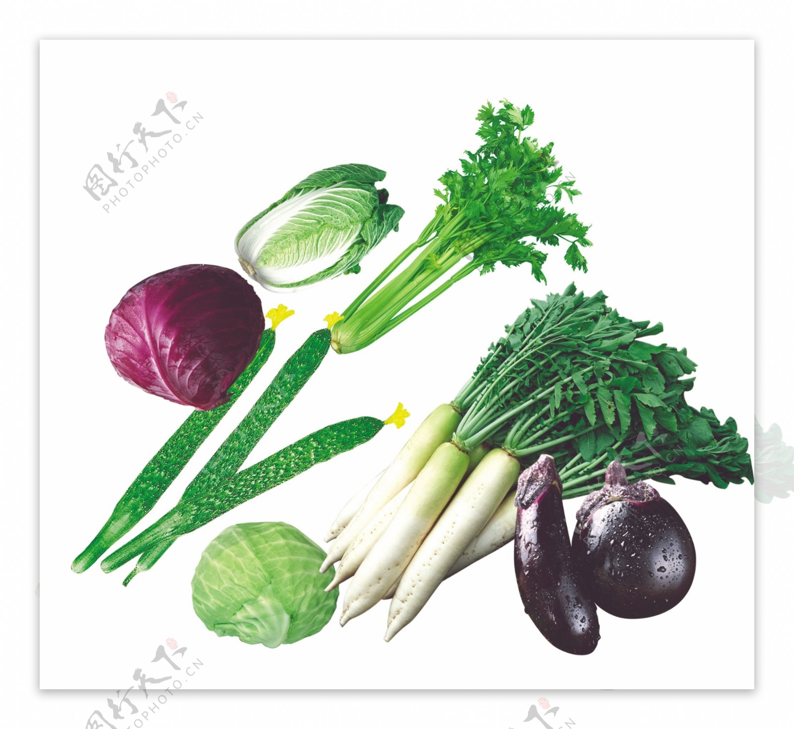 蔬菜分层素材