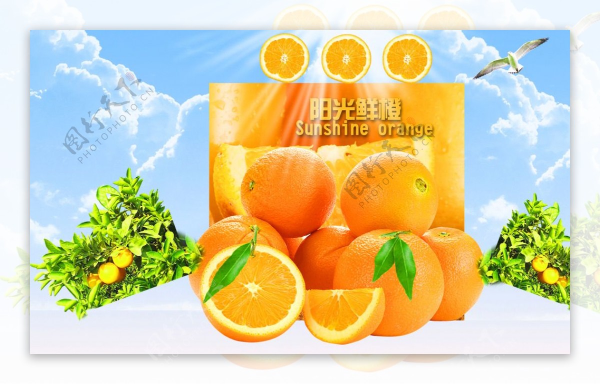阳光鲜橙海报
