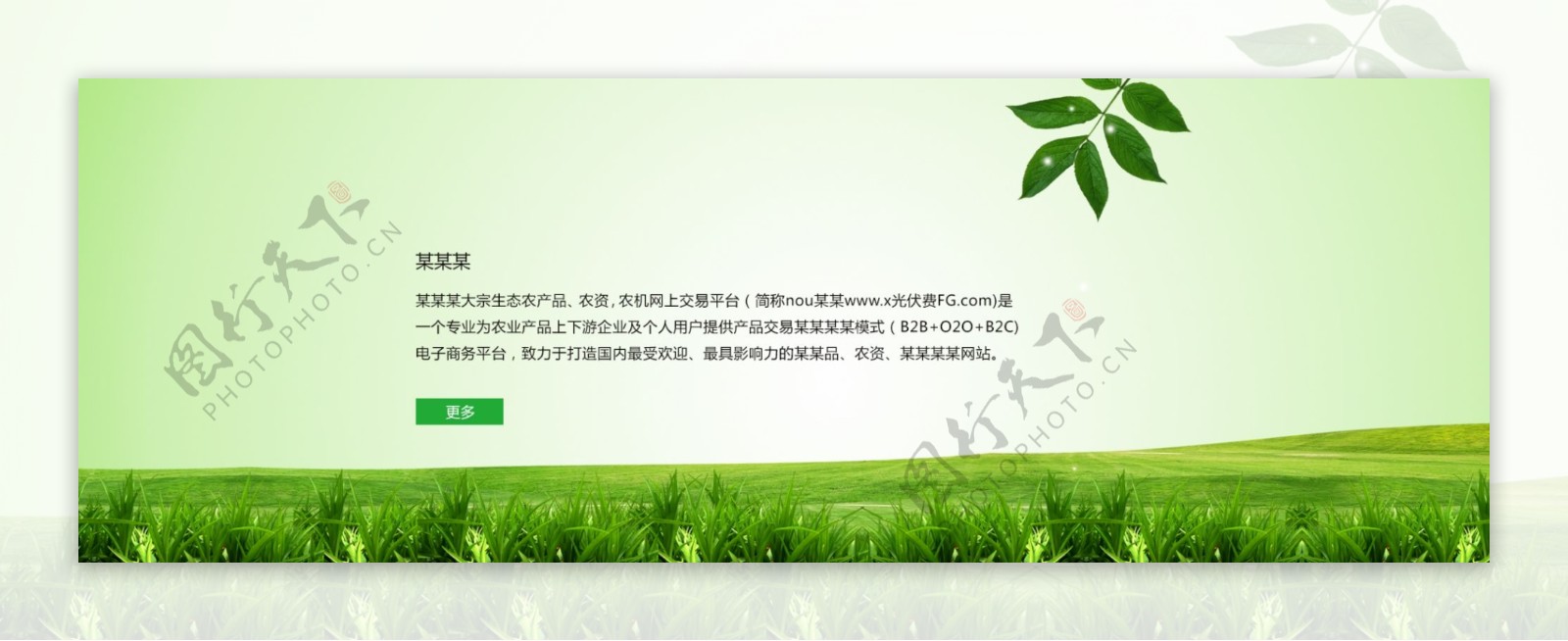 农业banner