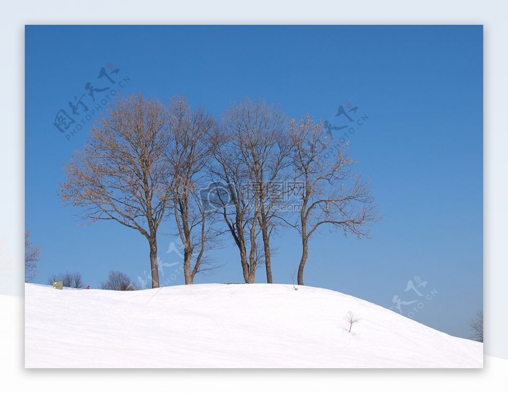 野外的雪地上