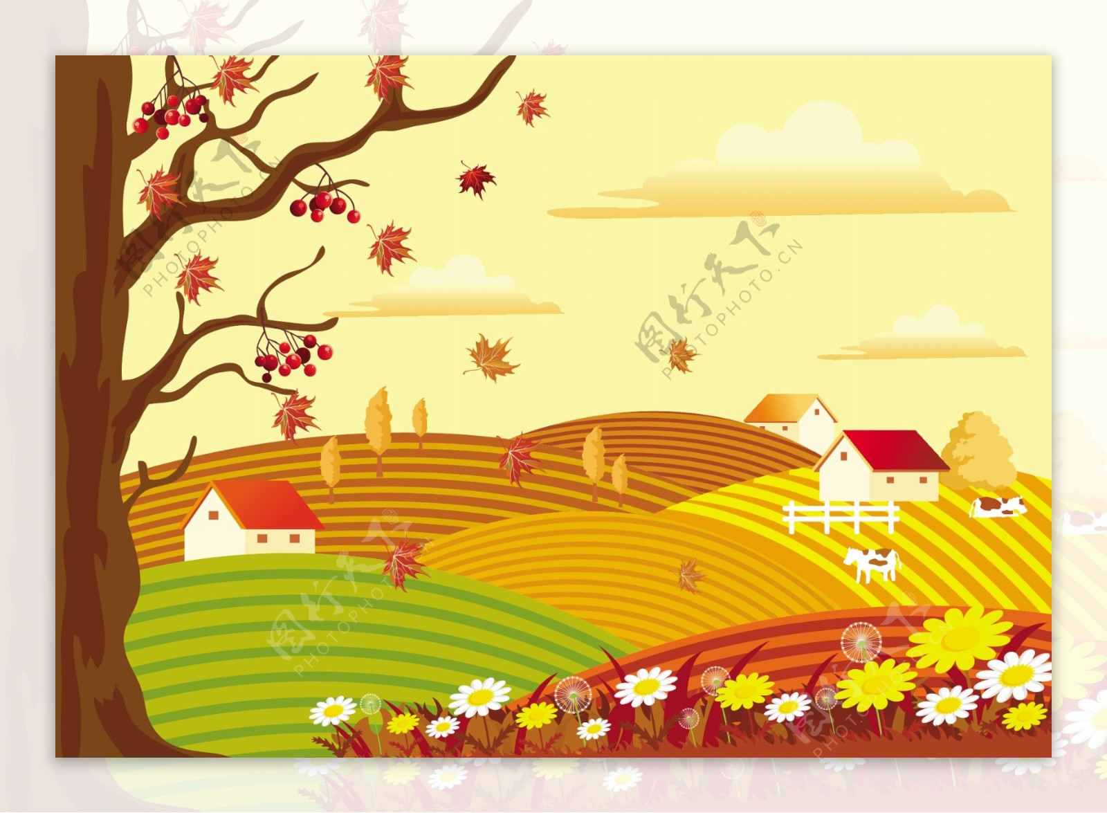 金色秋季稻田背景图