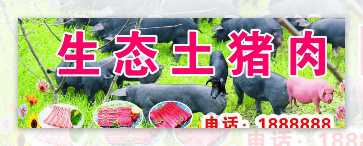 生态土猪招牌