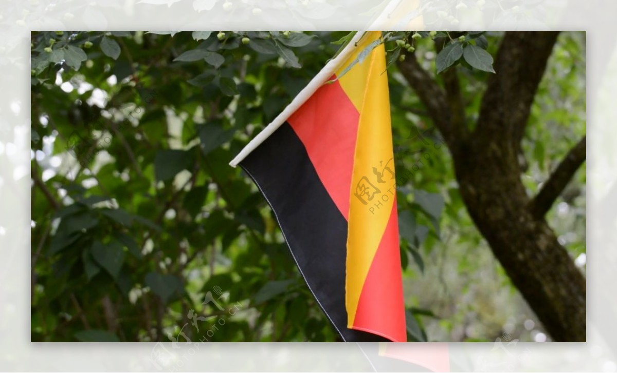 树枝上的德国国旗