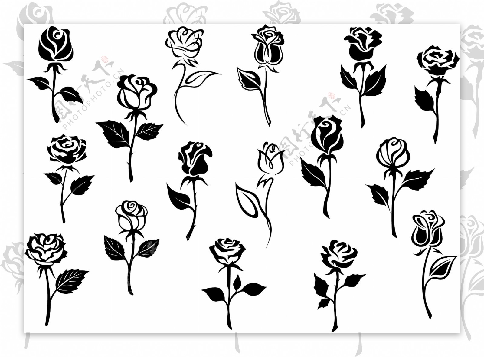 漂亮黑白玫瑰花背景矢量图片素材-编号02422381-图行天下
