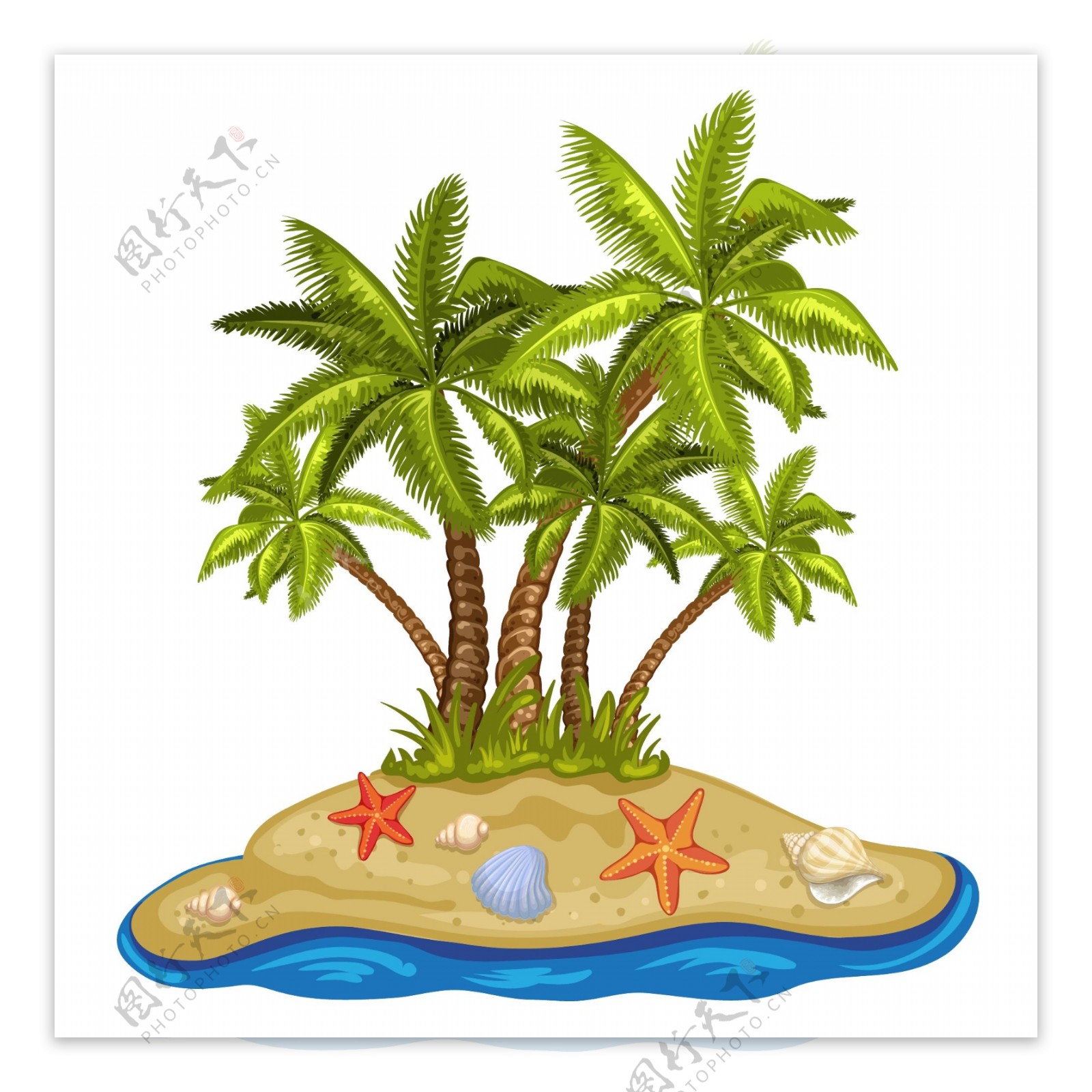 小岛上的椰树