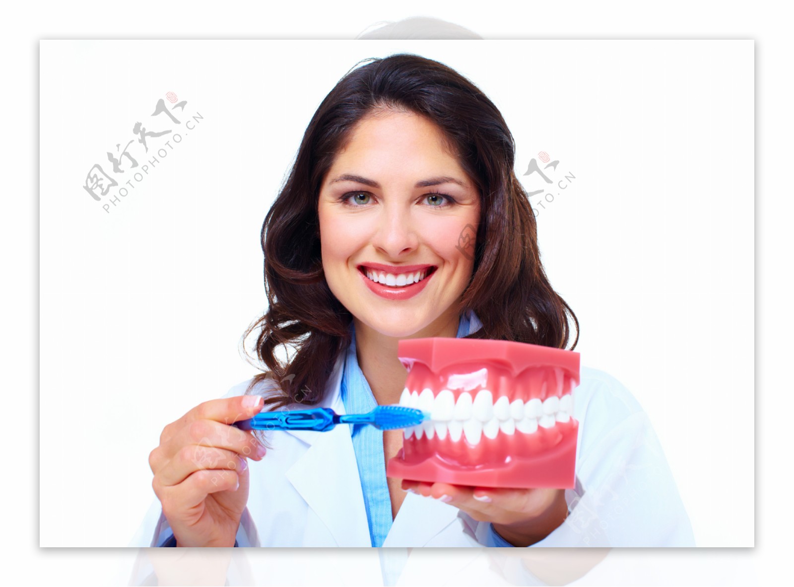 示范刷牙的牙科医生图片