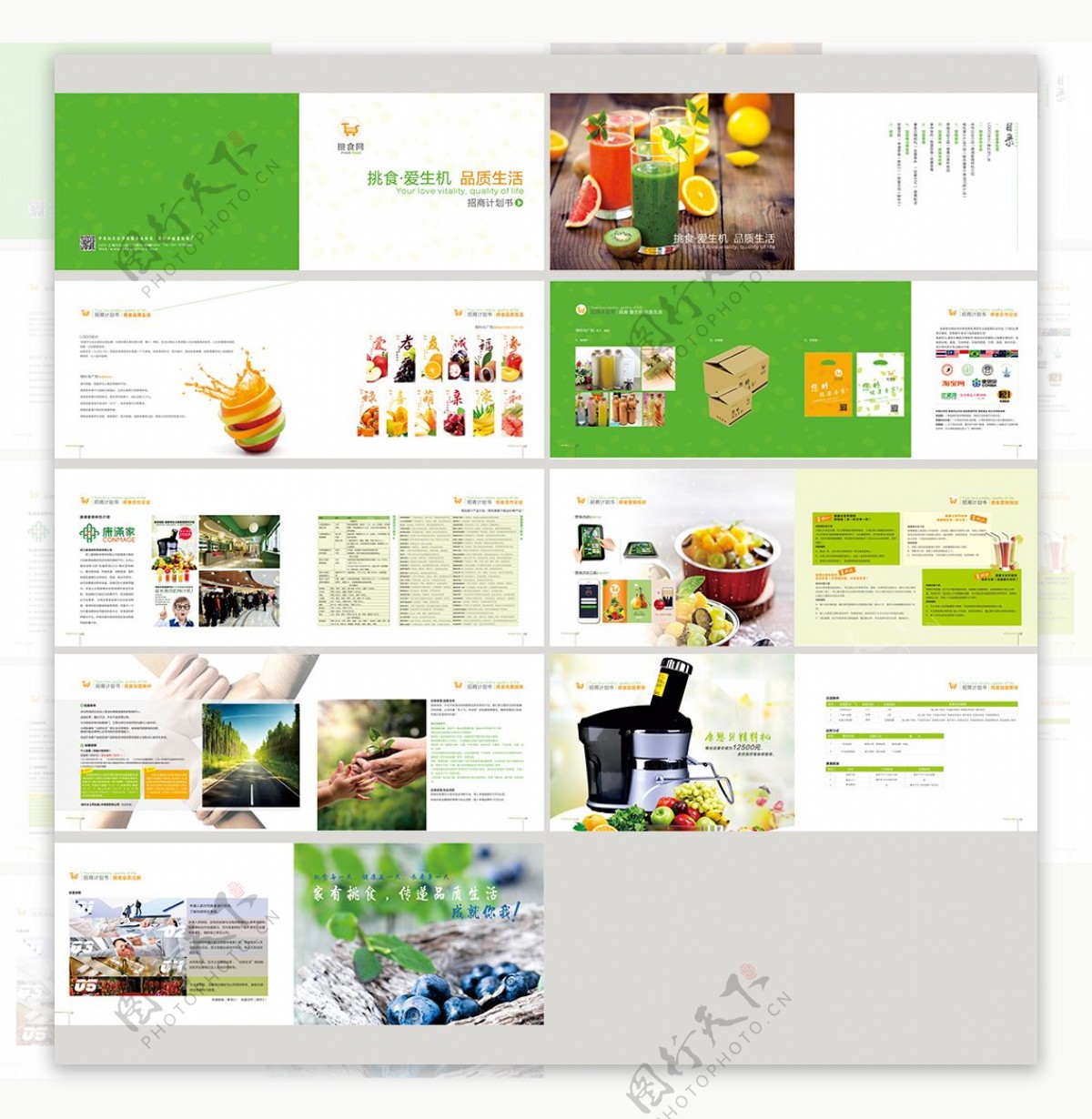 绿色健康食品招商计划书画册