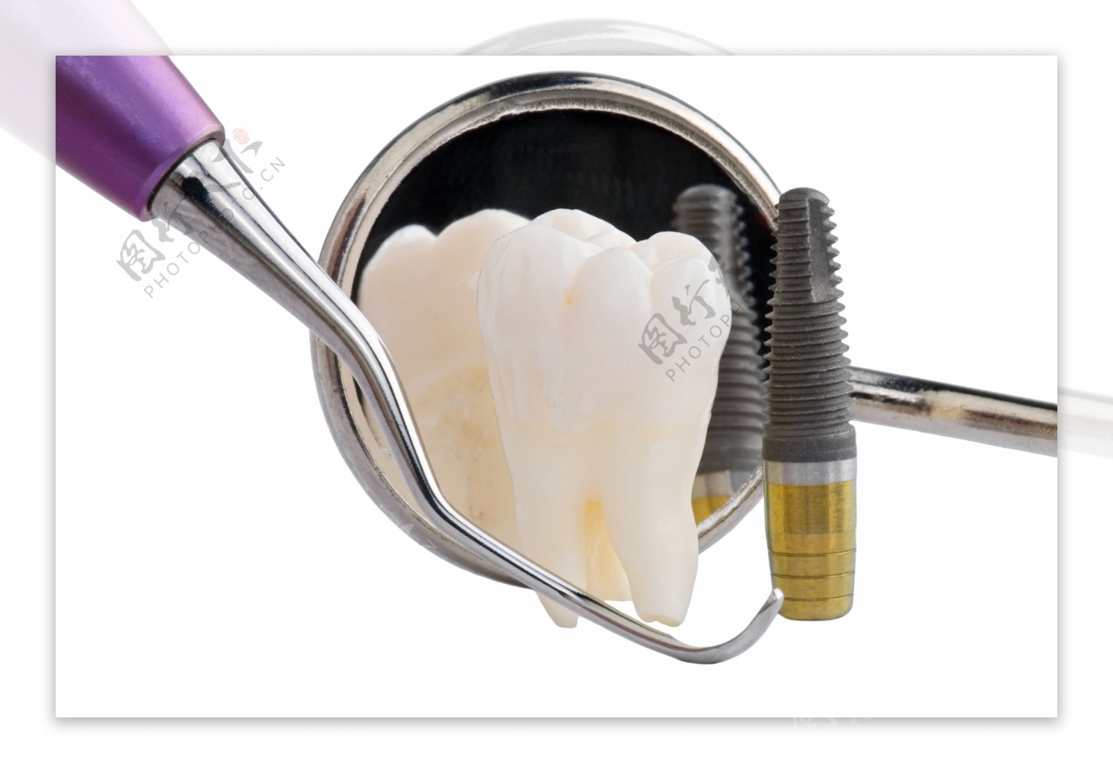 牙齿模型与医疗工具图片