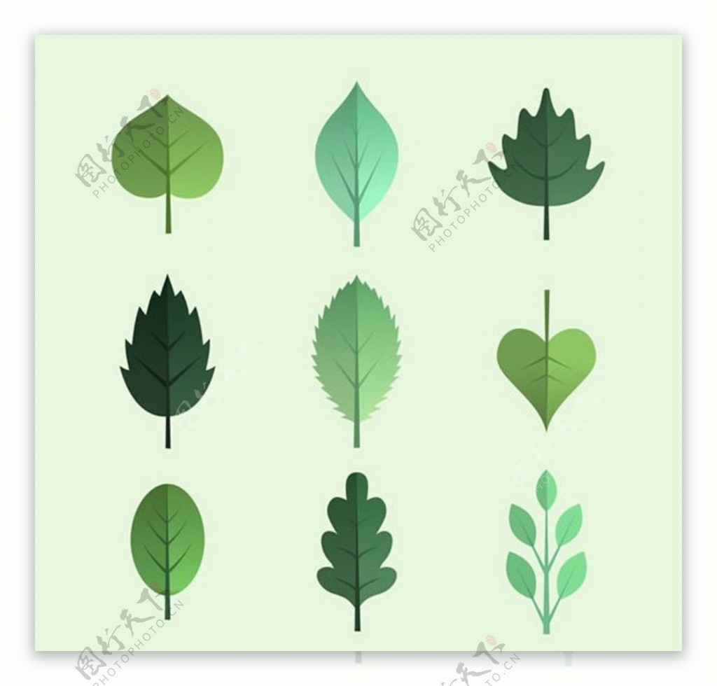 绿色树叶设计矢量素材下载
