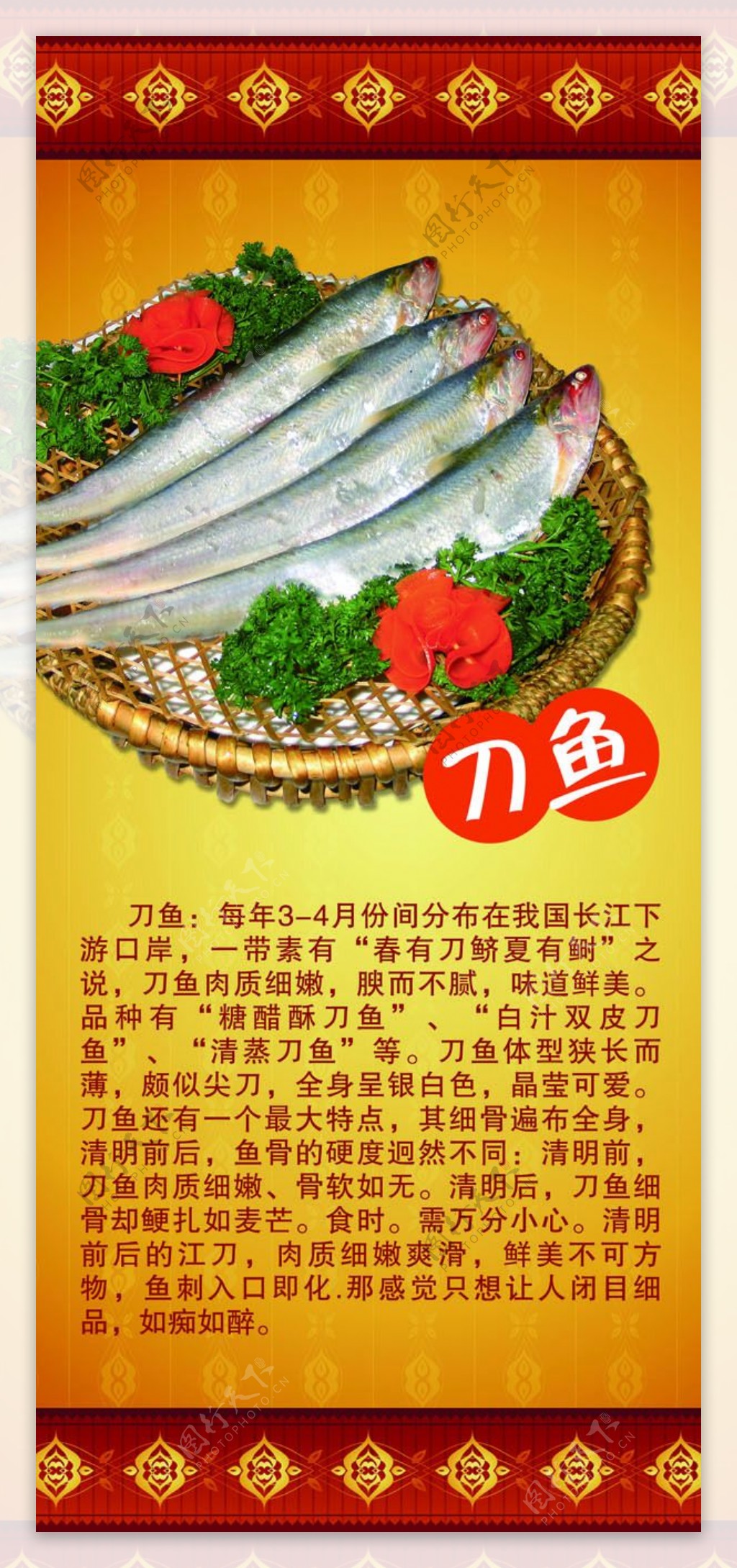 长江刀鱼展板设计
