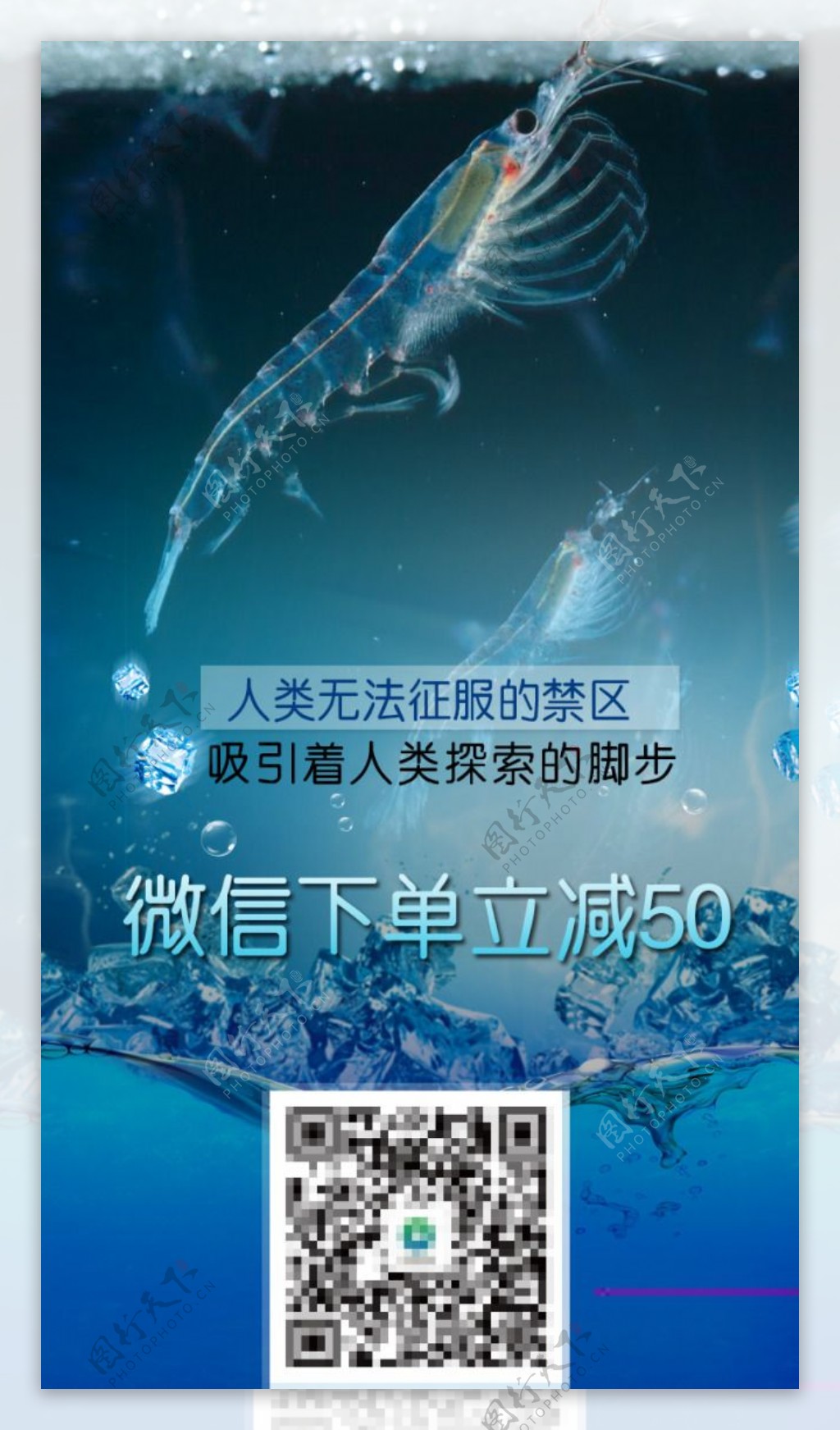 磷虾设计海报