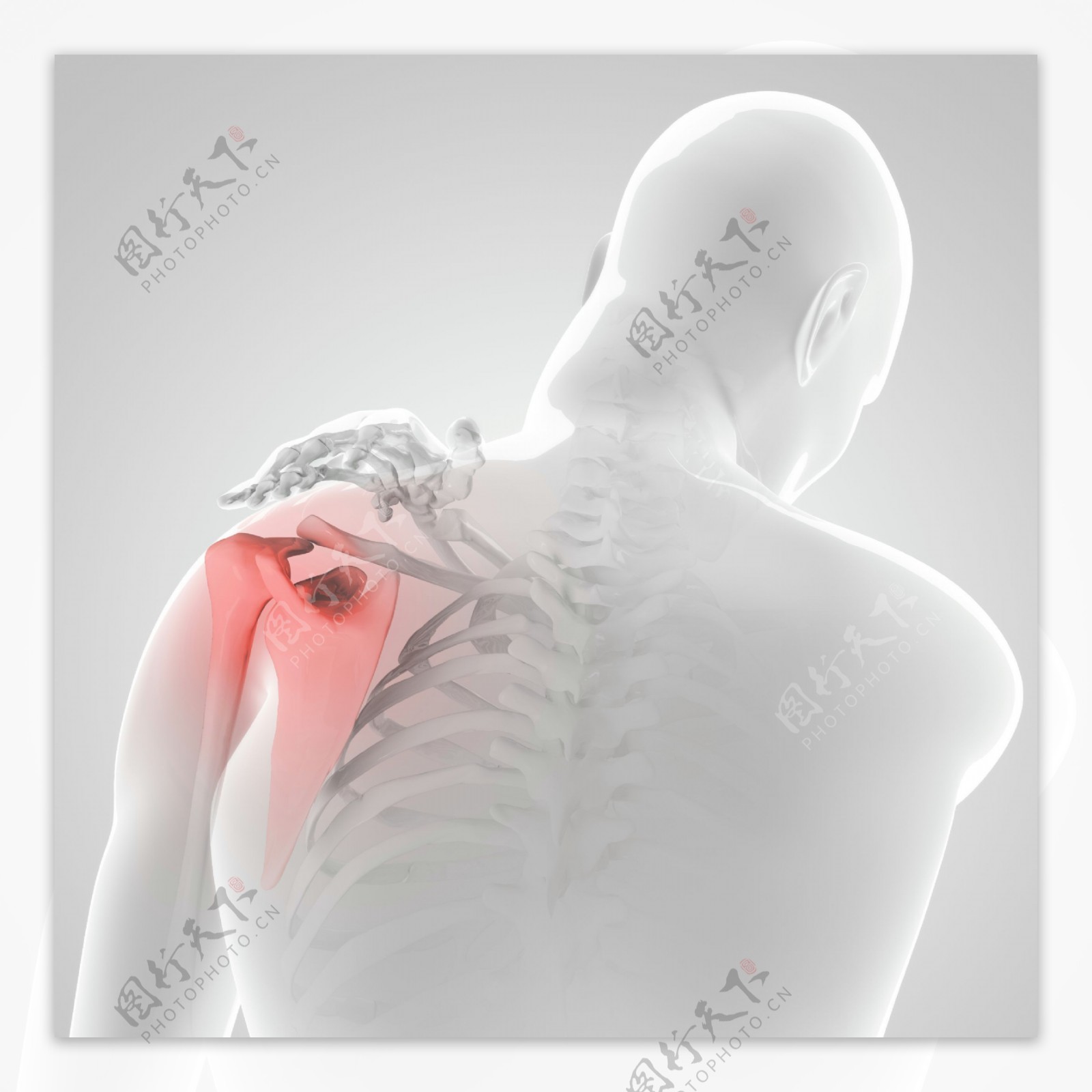 肩关节后脱位的诊治（带复位视频） - 骨科专业讨论版 -丁香园论坛
