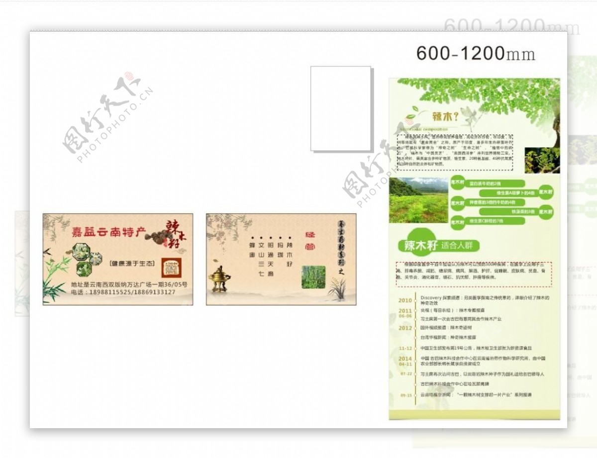 辣木仔绿色名片海报