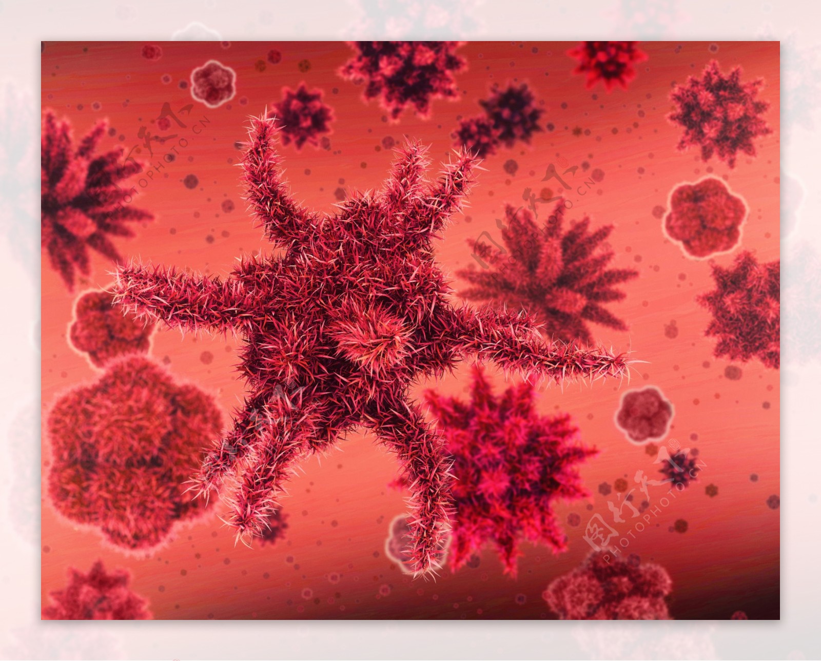 细胞与病菌图图片