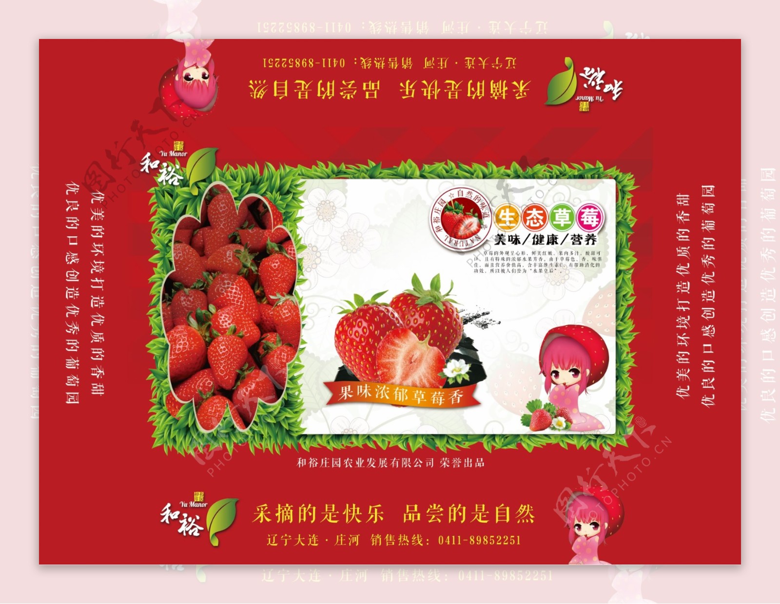 精品草莓包装1
