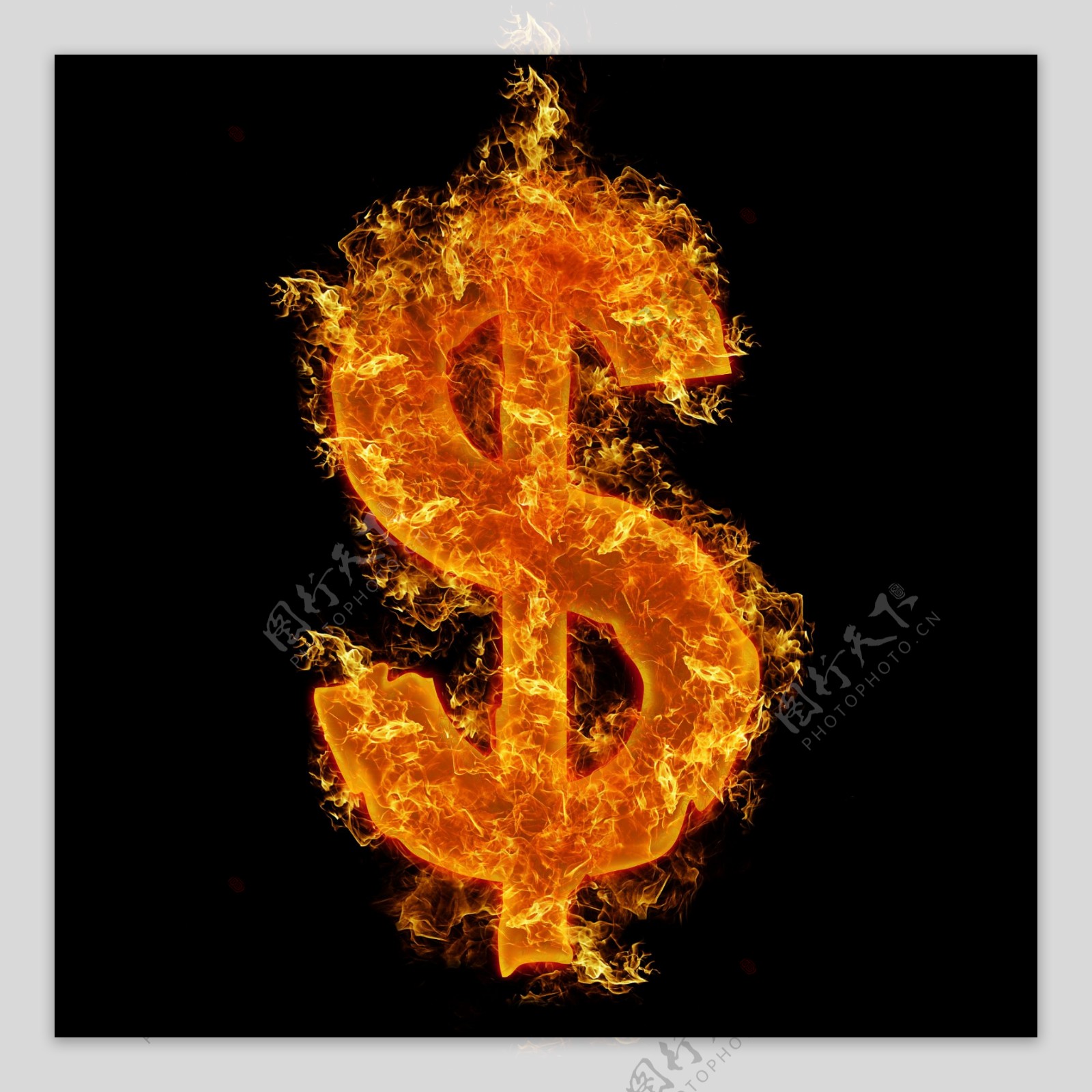 火焰型美元符号图片