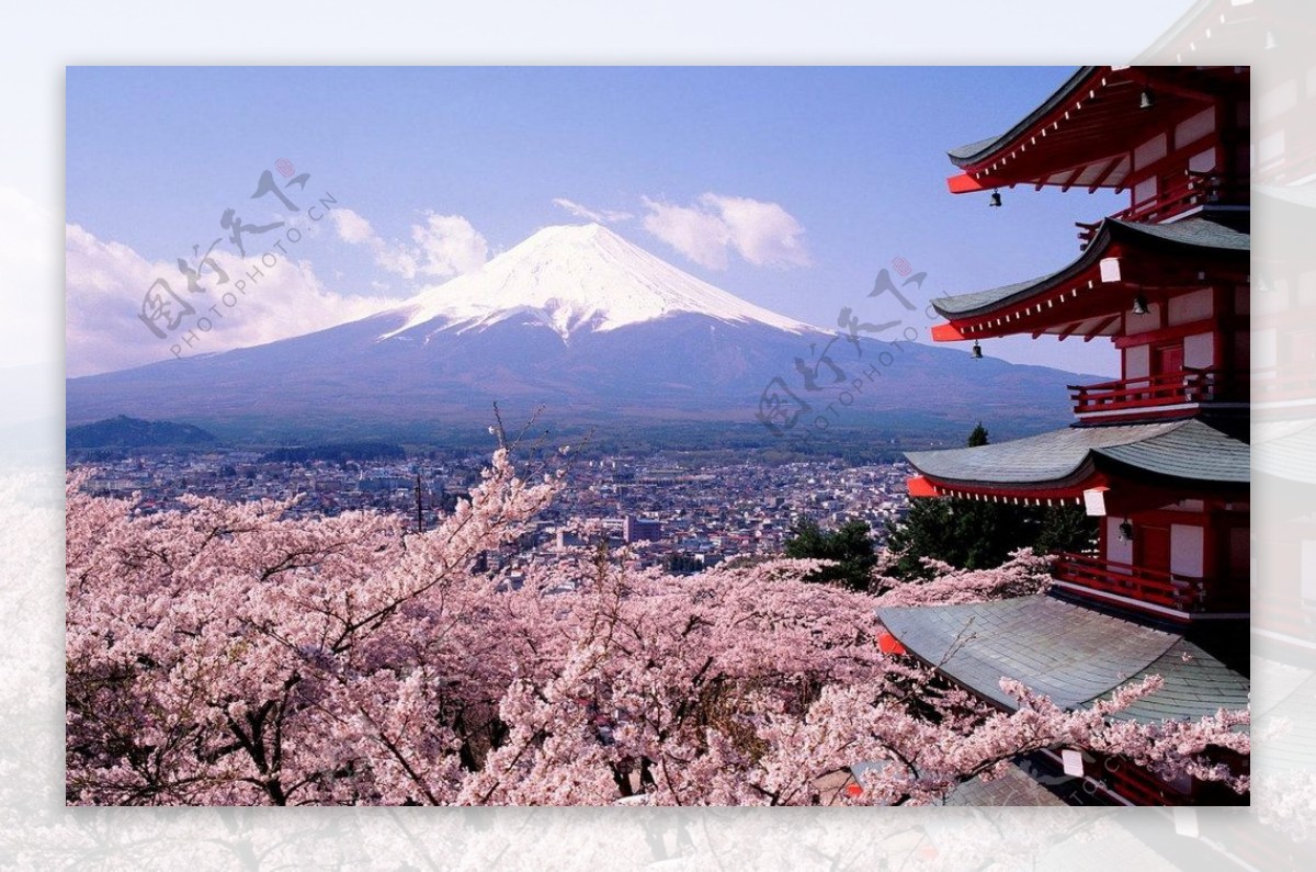 日本富士山樱花风景图片