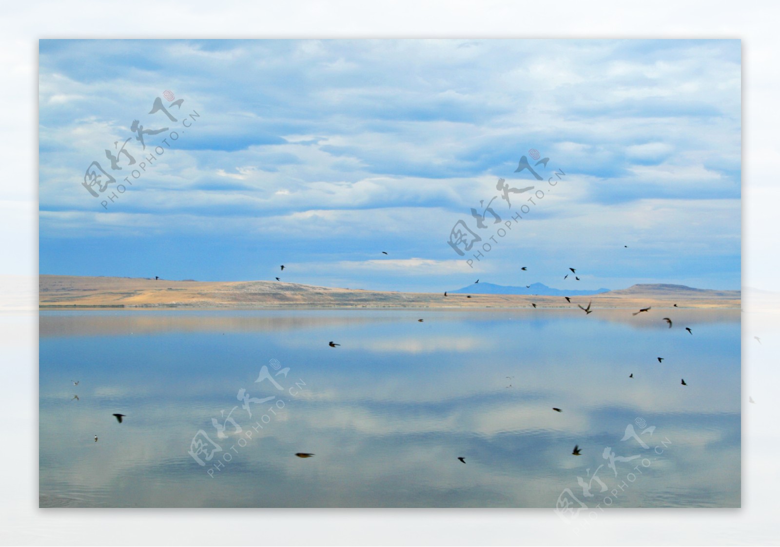 美国大盐湖图片