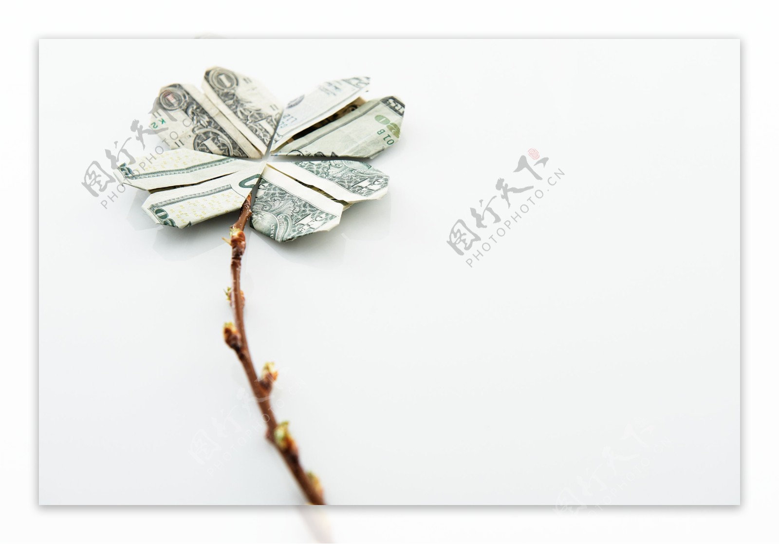 折叠的四个美元钞票拼成的花图片