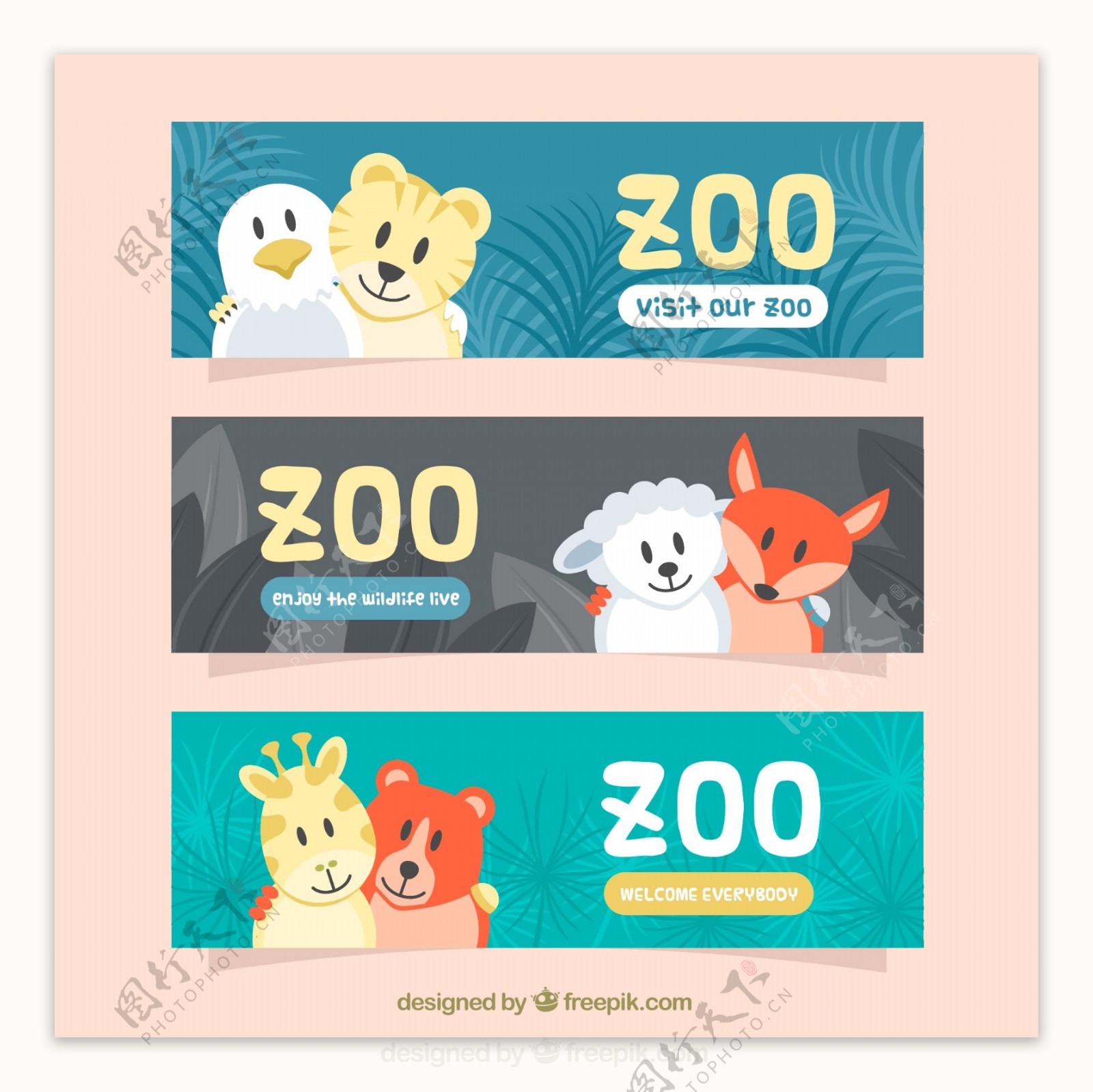 3款可爱动物好朋友设计动物园banner矢量图