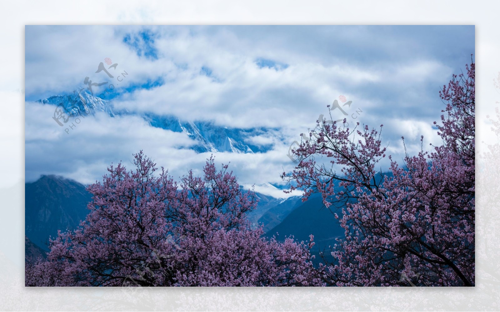 西藏林芝南迦巴瓦峰风景