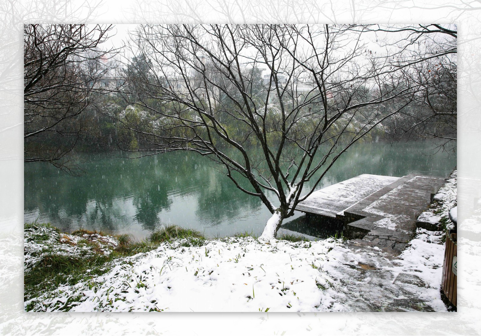 雪中的西湖浴鹄湾风景