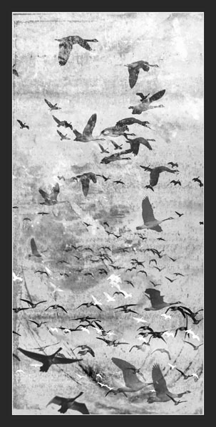 大雁南飞鸟群背景图案photoshop笔刷素材