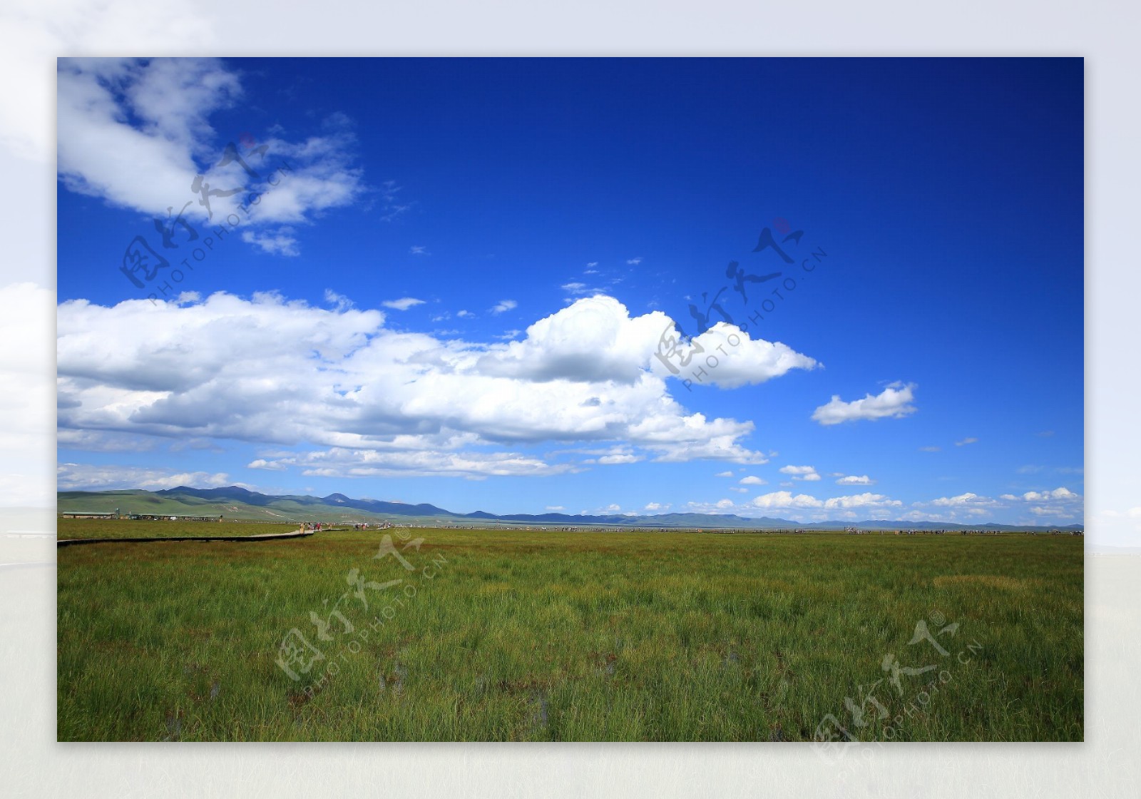 四川若尔盖花湖风景