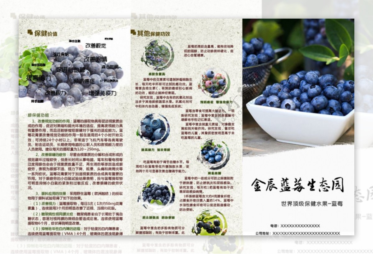 蓝莓折页广告